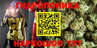 шишки Можайск