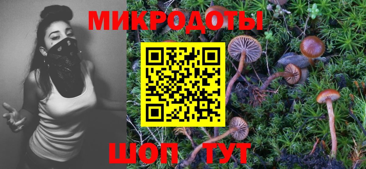Чусовой  Галлюциногенные грибы ЛСД  Вход с VPN 